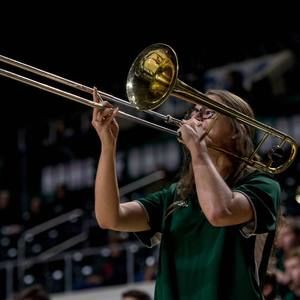 Meet your Posher, Ellen